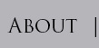 About the Author