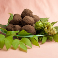 Hop Flavored Dark Chocolate Truffles