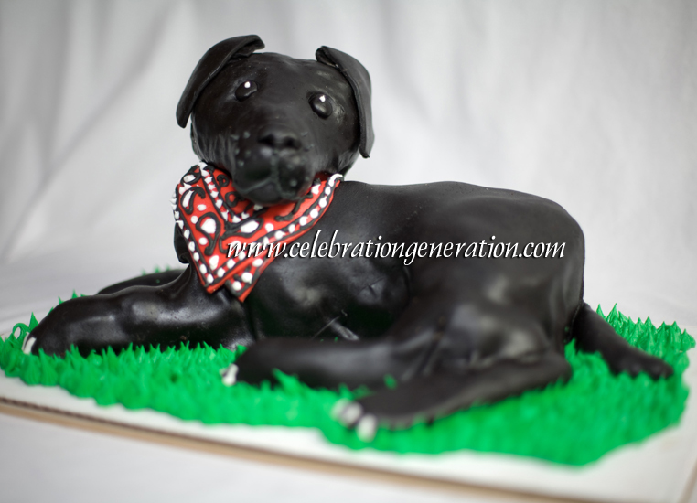 Other Event Cakes Celebration Generation Other Event Cakes Celebration Generation