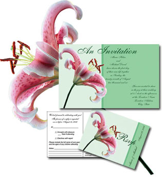 Celebration Generation Custom Stationery